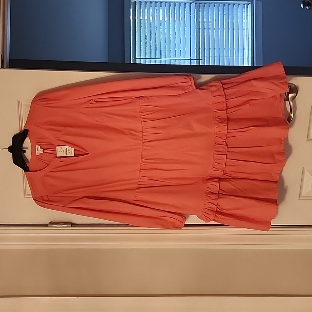 J. Crew Dress